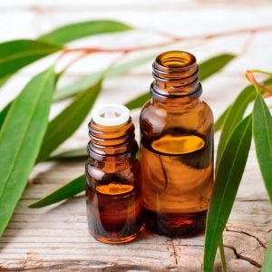 Eucalyptus oil