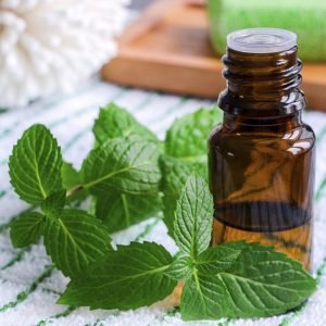 Peppermint Essential Oil
